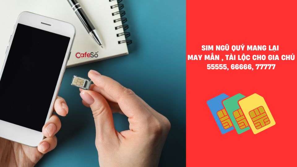 Lựa chọn dòng sim số đẹp nào làm hotline